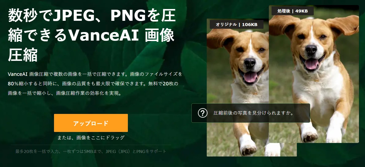 就活 写真 データ